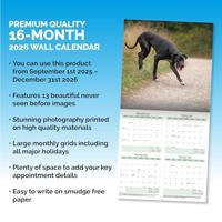 Duitse Dog Kalender 2026 - thumbnail