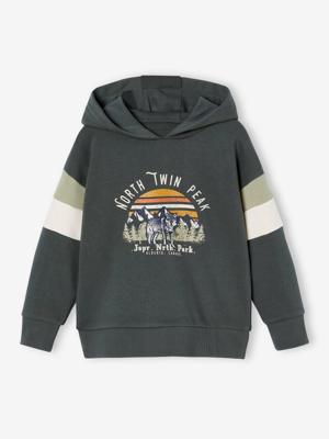 Grafische hoodie met colorblock mouwen voor jongens korstmos Grafische hoodie met colorblock mouwen voor jongens korstmos