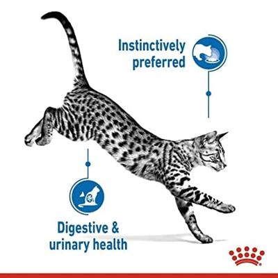 ROYAL CANIN Indoor Sterilized - Nat kattenvoer - Stukjes in saus 12x85 g - thumbnail