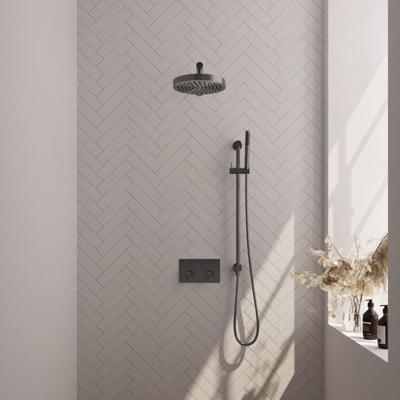 Brauer Stripe thermostatische inbouw regendouche met drukknoppen SET 31 met 25 cm douchekop en rechte muurarm en staaf handdouche en doucheslang en geintegreerde glijstang gunmetal geborsteld PVD