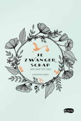 Je zwangerschap van dag tot dag (Paperback)