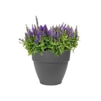 Bloempot Elho Plastic Cirkelvormig - thumbnail