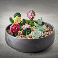 Hama Strijkkralen DIY Midi 3D Art Succulents 6000 Stuks - thumbnail