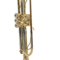Vincent Bach TR655 Bb trompet 124 mm (gelakt) met tas - thumbnail