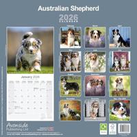 Australian Shepherd Kalender 2026 - thumbnail