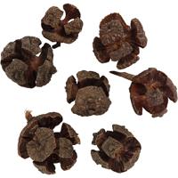 Creativ Company 502350 decoratief beeld & figuur Bruin - thumbnail