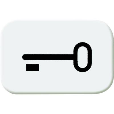 Busch-Jaeger 2525 TR-214 Symbool voor knop sleutel Afdekking Busch-balance SI Alpine-wit 1 stuk(s)