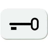 Busch-Jaeger 2525 TR-214 Symbool voor knop sleutel Afdekking Busch-balance SI Alpine-wit 1 stuk(s) - thumbnail