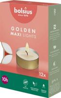 Bolsius Maxi-lichten 10-uur met gouden cup doos 12 Wit - thumbnail