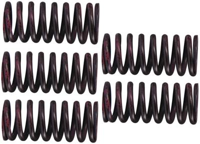 TRW koppelingsveren set clutch spring kit mef316-5