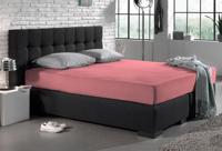 Dreamhouse Enkel Jersey 135 gr. Hoeslaken Roze 160/180 x 200 cm - thumbnail