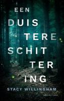Een duistere schittering - Stacy Willingham - ebook - thumbnail