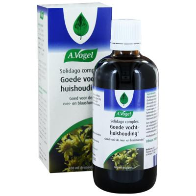 A Vogel Solidago complex 100 Milliliter