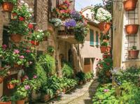 Bloemen straat 70x50cm Tuinschilderij Customize-it - Customize it - thumbnail