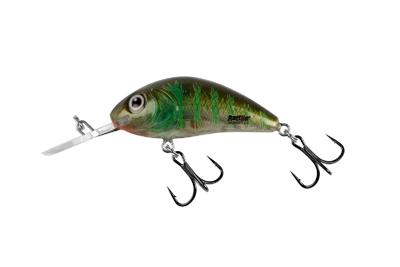 Salmo Rattlin Hornet Floating 5.5Cm Green Gill