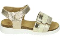 Develab 48508 - alle - thumbnail