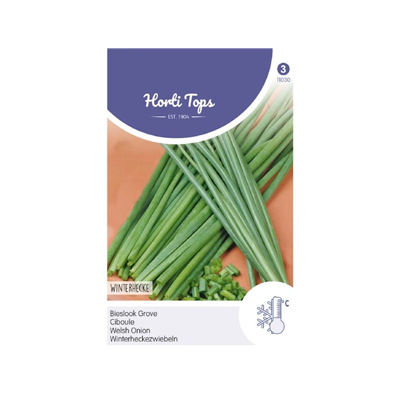 Zaden Bieslook Grove Hortitops - Hortitops