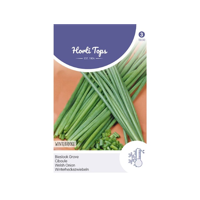 Zaden Bieslook Grove Hortitops - Hortitops - thumbnail
