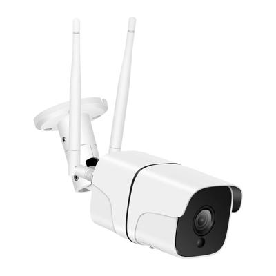 Denver SHO-110 Buiten Bewakingscamera, Wit