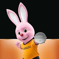 Duracell LR44 / V13GA / A76 Alkaline knoopcelbatterij (2 stuks) - thumbnail