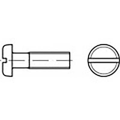 TOOLCRAFT TO-6853242 Platbolkopschroeven M3 10 mm Sleuf DIN 85 Staal 2000 stuk(s)