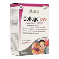 Physalis Collagen Pro Sachets - thumbnail