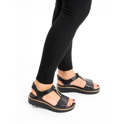 Ara 1233515 - alle Ara 1233515 - alle