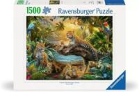 Ravensburger puzzel Luipaarden in de jungle 1500 stukjes - thumbnail