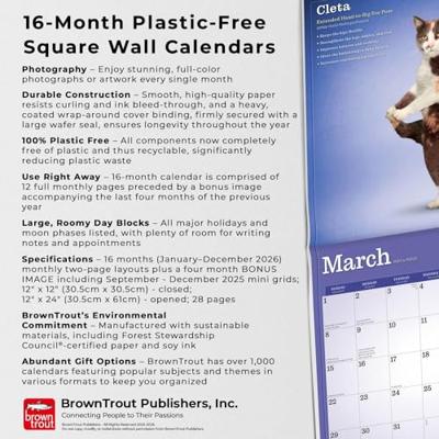 Yoga Cats Kalender 2026