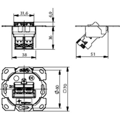Telegärtner 100022964 Netwerkdoos Inbouw (in muur) Inzet CAT 6A 2 poorten Telegärtner 100022964 Netwerkdoos Inbouw (in muur) Inzet CAT 6A 2 poorten