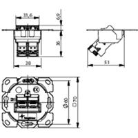 Telegärtner 100022964 Netwerkdoos Inbouw (in muur) Inzet CAT 6A 2 poorten - thumbnail