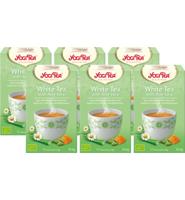 White tea with aloe vera bio - thumbnail