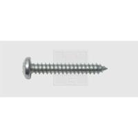 SWG 115631925 Plaatschroeven 6.3 mm 19 mm Kruiskop Phillips DIN 7981 Staal Verzinkt 100 stuk(s) - thumbnail