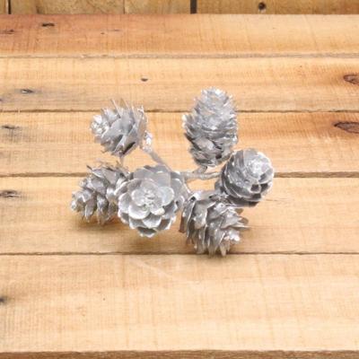 Bonbon doosjes - Chocolade doosje - Deko kerst dennenappels zilver