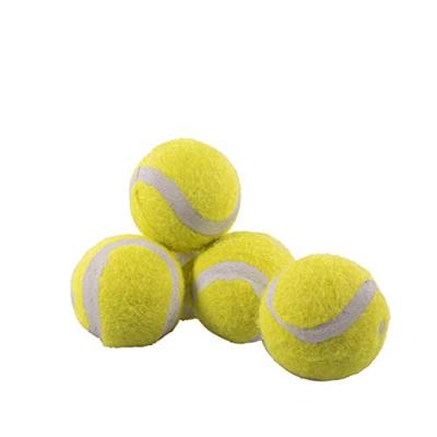Rosewood MINI ASSORTED TENNIS BALLEN VOOR HONDEN 5ST