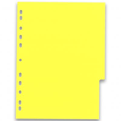 OXFORD MyColour tabbladen, formaat A4, uit gekleurde PP, 11-gaatsperforatie, 6 tabs OXFORD MyColour tabbladen, formaat A4, uit gekleurde PP, 11-gaatsperforatie, 6 tabs