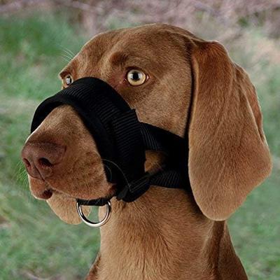 TRIXIE SNUITJE NYLON ZWART 20-30 CM 2 ST TRIXIE SNUITJE NYLON ZWART 20-30 CM 2 ST