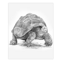 Tekenset Royal & Langnickel SKETCHING MADE EASY 33 Onderdelen - thumbnail