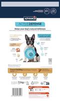 ADVANCE ADULT FRENCH BULLDOG - thumbnail