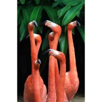 Wanddecoratie Bright Wings 002 98x148cm op dibond met blind kunststof ophang bohemian - thumbnail