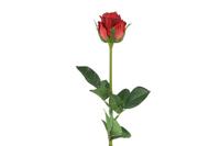 Countryfield kunsttak roos 70cm rood - thumbnail