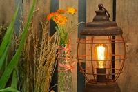 LED lamp Edison dimbaar 250 Lumen 6W E27 filament grijs Segula - thumbnail