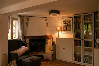 Segula 55216 LED-lamp Energielabel F (A - G) E14 3 W = 26 W Warmwit (Ø x l) 45 mm x 100 mm 1 stuk(s)