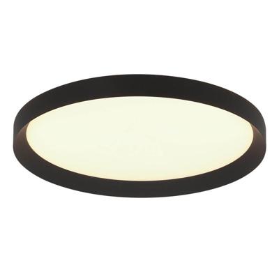 Steinhauer Strakke plafondlampFlady zwart Ø 50cm - 3686ZW