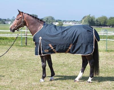 Harry's Horse Thor Ebony regendeken 300 gram