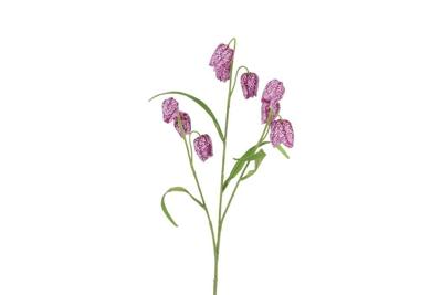Decostar zijdebloem Fritullaria 70 cm paars