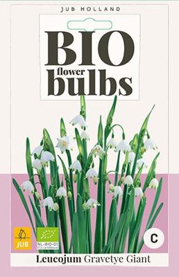 Bio leucojum gravetye giant 3 bollen