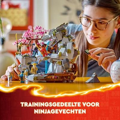LEGO NINJAGO altaar van de Stenen Draak 71819
