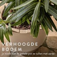 Elho Amber Grail 30 - Beige - Ø 30 x H 28 cm - Binnen en Buiten - 100% gerecycled - thumbnail