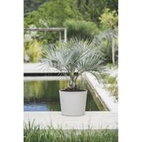 PoeTIC Pot Conisch Element 40 - Kalksteen - thumbnail